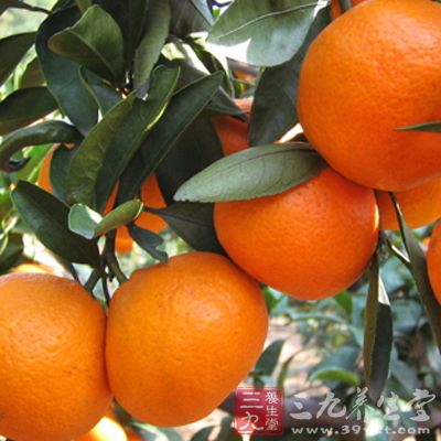 用安络血等药物时,进食菠菜、番茄、莴苣、卷心菜、水芹及猪肝等食物可增加疗效。 用安络血等药物时,进食菠菜、番茄、莴苣、卷心菜、水芹及猪肝等食物可增加疗效。