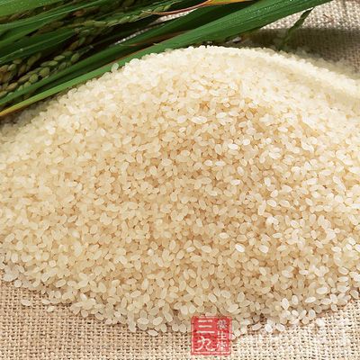 大米涵盖稻米、紫米等，在出现肺热等症状时，具有很好的滋阴润肺的作用