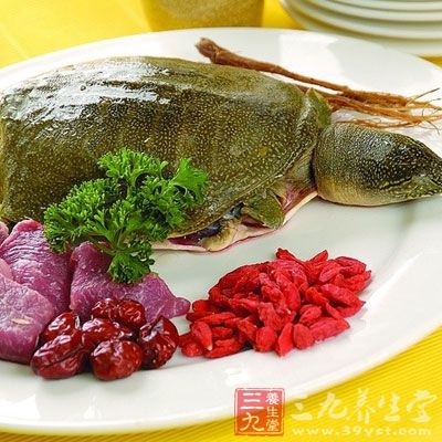 洋參杞子燉甲魚