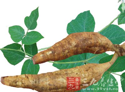 葛根主要含碳水化合物,植物蛋白,多种维生素和矿物质,此外还含有黄酮类物质:大豆素,大豆甙,还有大豆素-4,7-二葡萄糖甙,葛根素,葛根素-7-木糖甙,葛根醇,葛根藤及异黄酮甙等。 葛根主要含碳水化合物,植物蛋白,多种维生素和矿物质,此外还含有黄酮类物质:大豆素,大豆甙,还有大豆素-4,7-二葡萄糖甙,葛根素,葛根素-7-木糖甙,葛根醇,葛根藤及异黄酮甙等。