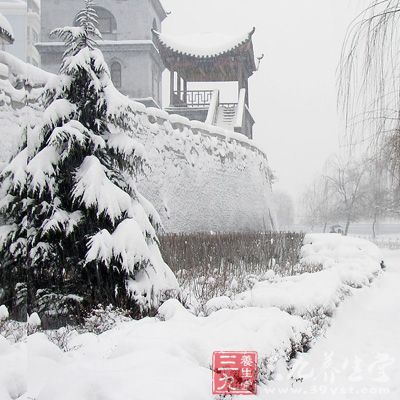 “大雪”節(jié)氣，通常在每年的12月7日或8日