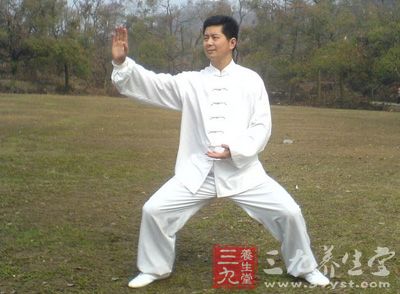 太极拳视频 陈氏太极拳单刀