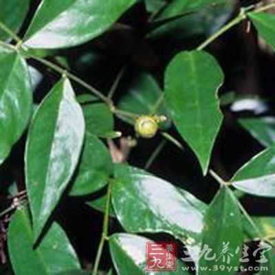 取本品粗粉约0.5g,,精密称定,置索氏提取器中,滴