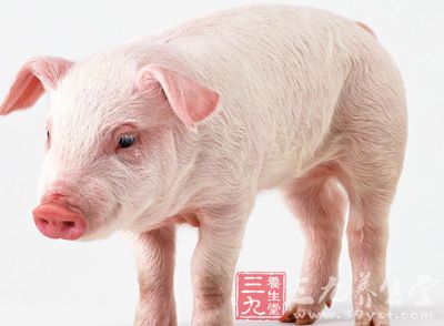 猪肉的做法 吃猪肉7误区伤害身体