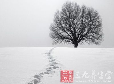 小雪节气养生，首先需要从饮食方面着手