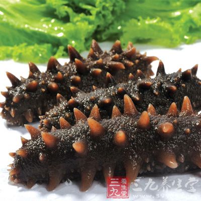 海参可补肾益精、滋阴壮阳