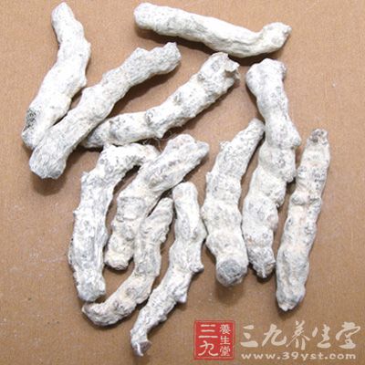 白僵蚕的功效与作用_解表药_中药图典