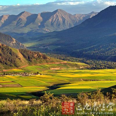 卓尔山其实只是坐落在祁连县城边的一个小山坡而已