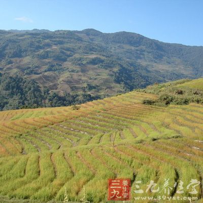 在西盟老县城勐卡的敬老院的天台上，你会看到美丽的日出