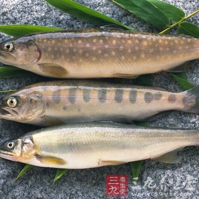 脑栓塞治疗 为什么治疗脑栓塞的时间是3到6小