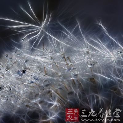 �����10����ͬһ�����⣺��ʲô��������?����ܻ�õ�10�ֲ�ͬ�Ĵ�