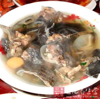 驢肉鱉甲湯