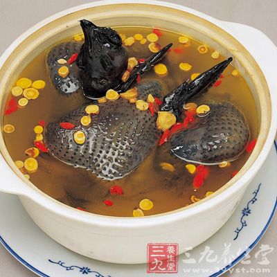 乌鸡炖甲鱼