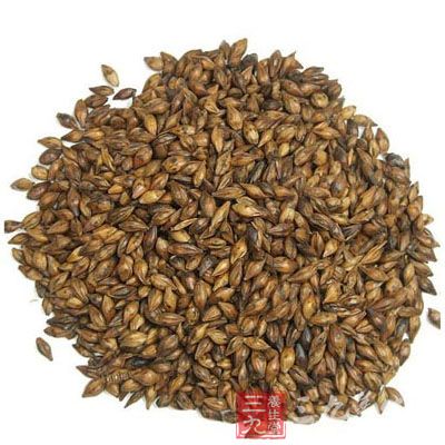 谷芽的药理作用与应用