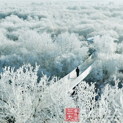 内蒙古牙克石：迷人的林海雪原