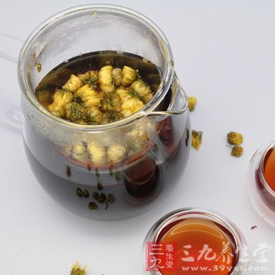 菊花普洱茶