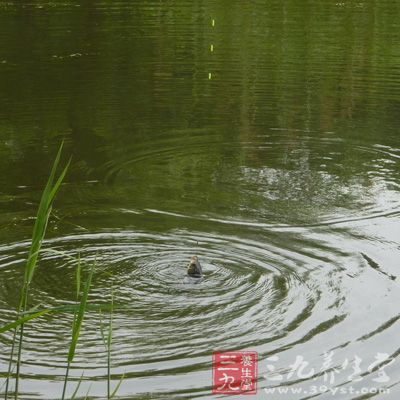 攻取总重量有时又不一定定准钓大鱼，在某些特定情况下