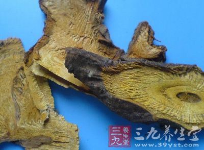 虎杖