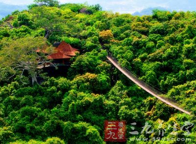 过江龙索桥桥飞跨两山之间，长达168米，悬空数十米，为海南第一铁索吊