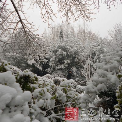 冬季路有冰雪，路面较滑，穿皮鞋易滑倒，好穿雪地防滑棉鞋或球鞋