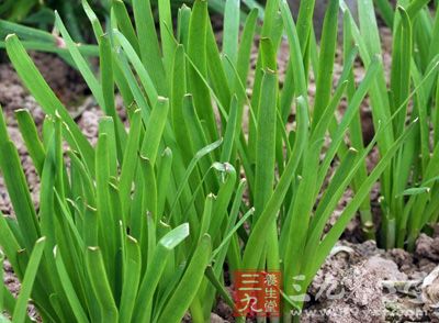 韭菜中含有大量的植物性芳香挥发油，这种物质能够增进食欲