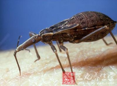 国家卫计委发布要求再加强血吸虫病监测通知