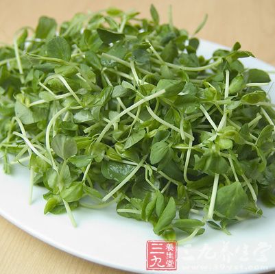 吃豆苗菜时需要较强的咀嚼，是佳的瘦脸食物