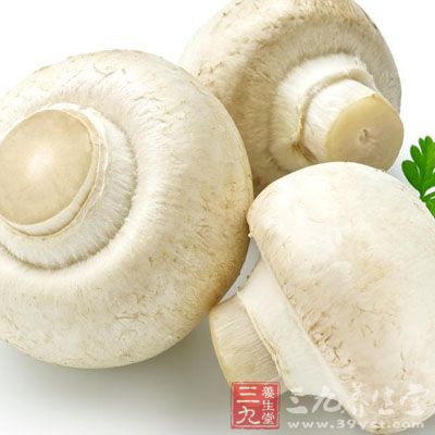 口蘑：富含微量元素硒的口蘑是良好的补硒食品