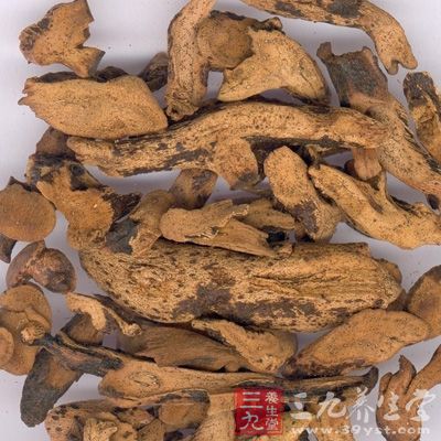 骨碎补