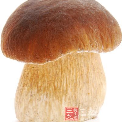 蘑菇的有效成分可增强T淋巴细胞功能，从而提高机体抵御各种疾病的免疫力