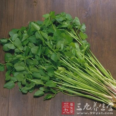 芹菜性凉，平肝健胃，味甘辛无毒，富含蛋白质、糖类、胡萝卜素、维生素c、氨基酸等