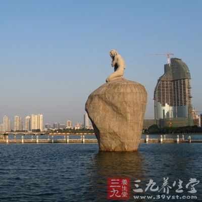 悠闲生活节奏并不妨碍厦门成为中国城市竞争力强劲的城市