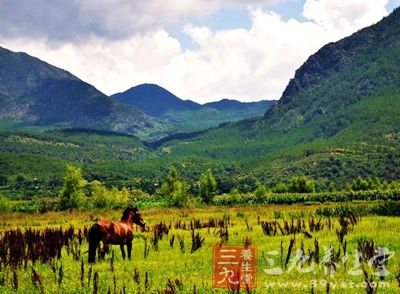 对逃离都市的人而言，丽江是田园