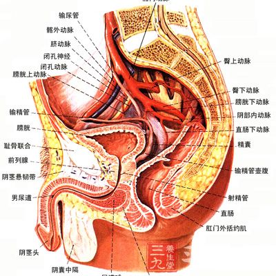 膀胱的功能失调，主要是尿频、尿急、尿痛、尿液浑浊、尿有余沥、尿闭或遗尿、小便失禁等排尿的异常