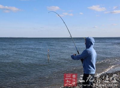 水清无大鱼，浑水好藏鱼