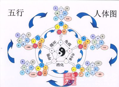 五行学说指导治疗主要表现在确定治则治法、诊断脏腑用药、指导情志疗法等方面