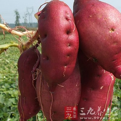 菠菜和羽衣甘蓝、甘薯和山药。莴苣、卷心菜