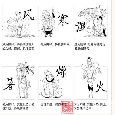 六淫致病,一般有以下几个特点 六淫致病,一般有以下几个特点