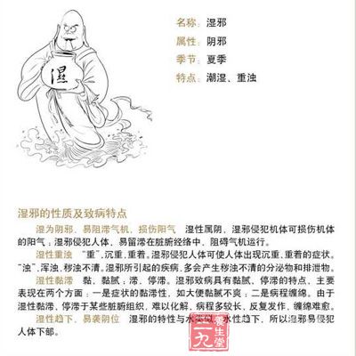 湿邪为病，也有外湿、内湿之分