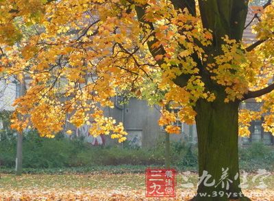 燥为秋季主气。以其天气不断敛肃,空气中缺乏水分的濡润,因而出现秋凉而经急干燥的气候 燥为秋季主气。以其天气不断敛肃,空气中缺乏水分的濡润,因而出现秋凉而经急干燥的气候