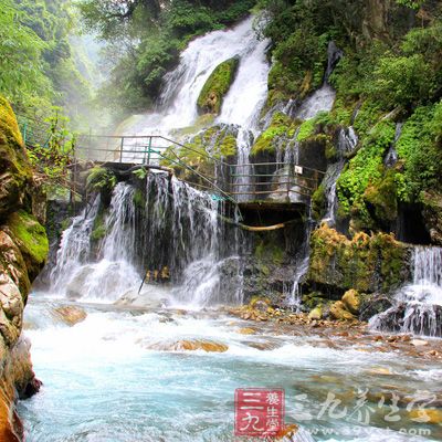 順景溫泉票(成人含餐) 258元