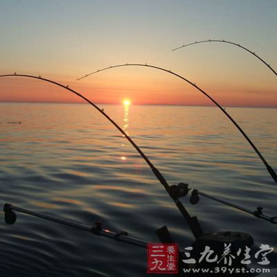 冬季鯽魚食欲減退，活動(dòng)力下降，覓食不積極，所以冬釣應(yīng)以逗釣為主