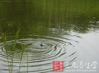 冬天，鱼在水库的深处，钓近不太行，所以要远投，用海竿钓