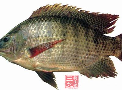 口味重的,可以尝试做香辣豆豉蒸鲈鱼 口味重的,可以尝试做香辣豆豉蒸鲈鱼