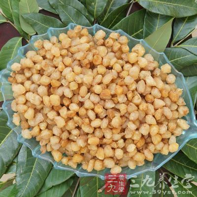 鷹嘴豆屬于高營(yíng)養(yǎng)豆類植物