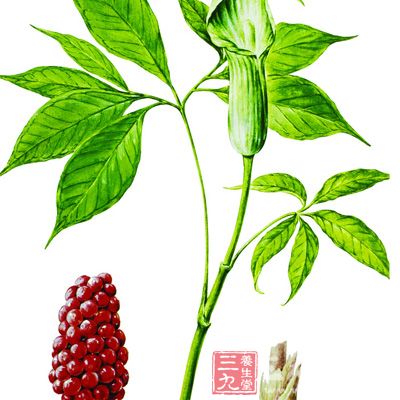 导痰汤   