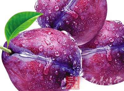 二陈汤_中药百科