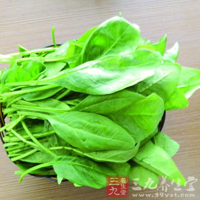 菠菜含有大量β胡萝卜素、铁