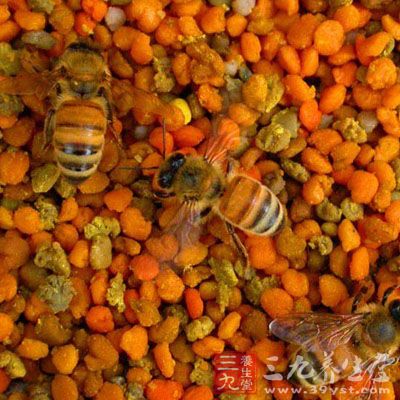 蜂花粉怎么吃 蜂花粉的食用方法有哪些