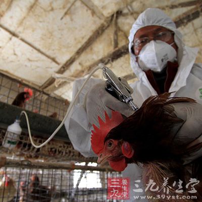 广州疾控中心将加强H5N6外环境样本检测